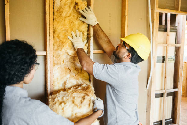 Best Professional Insulation Contractor  in World Golf Village, FL