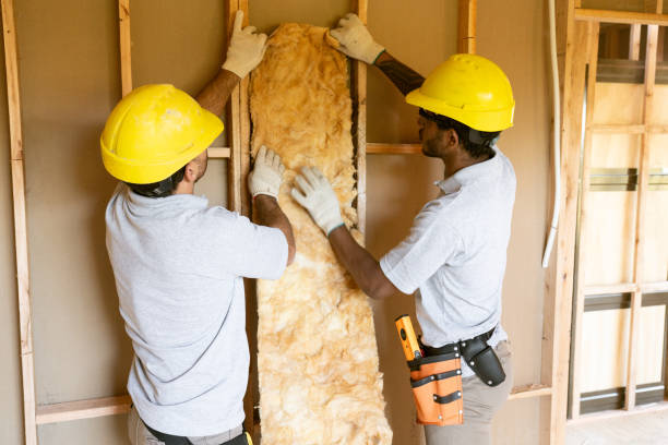 Range of Insulation Solutions in World Golf Village, FL