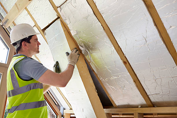 Insulation Repair Services in World Golf Village, FL