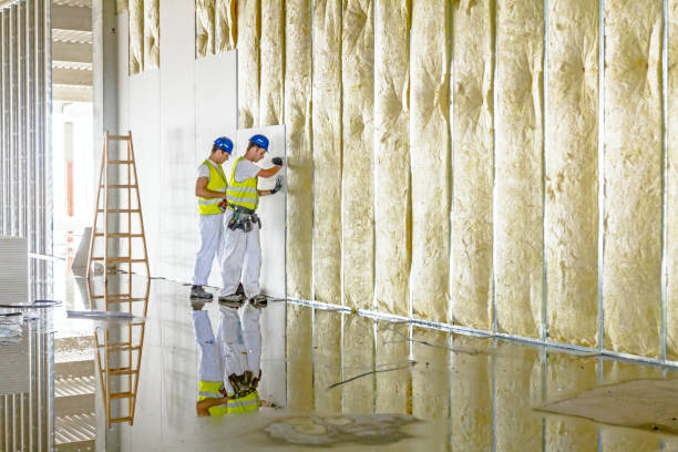 Range of Insulation Solutions in World Golf Village, FL